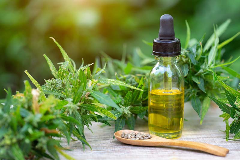 BIO FS Premium CBD oil