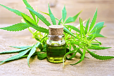 Full Spectrum BIO CBD oil